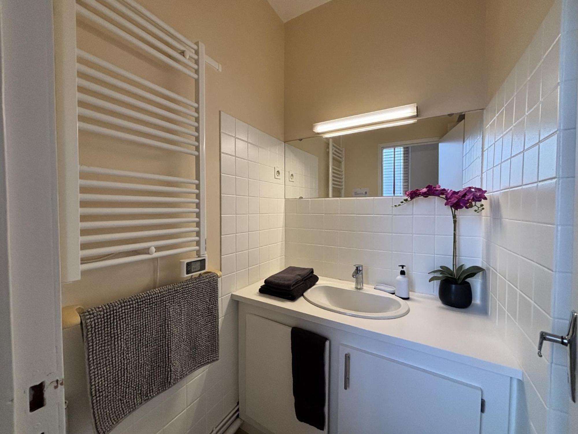 Le Puy De Dome - 1 Chambre - Clim Châtel-Guyon Zewnętrze zdjęcie